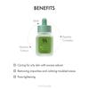 Dr.Ceuracle Vegane BHA & Matcha Ampulle 30ml