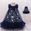 Girls Flower Embroidery Party Tutu Dress Kids Blue Christening Wedding Prom Dresses Girl Summer Fashion Children Holiday Clothes
