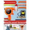MDNG Baorui Combustible Gas Alarm with Auto Shut-off CN plug (adapter included)
