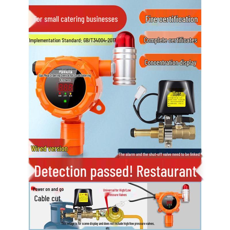 MDNG Baorui Combustible Gas Alarm with Auto Shut-off CN plug (adapter included)