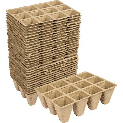 Bahçe Saksıları ve Kutuları – Fide viyolleri