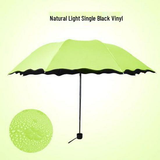 Blooming Umbrella: Korean Style, UV Protection, Lightweight, Durable, Eight Ribs, Black Glue, Waterproof