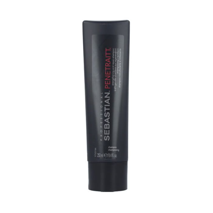 

Sebastian Penetraitt Shampoo Repair 250ml