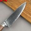 8 Inch Chef Knife 67-layers Damascus VG10 Steel Blade Slicing Vegetables Cleaver Meat Japanese Kitchen Sharp Knife Wood Handle