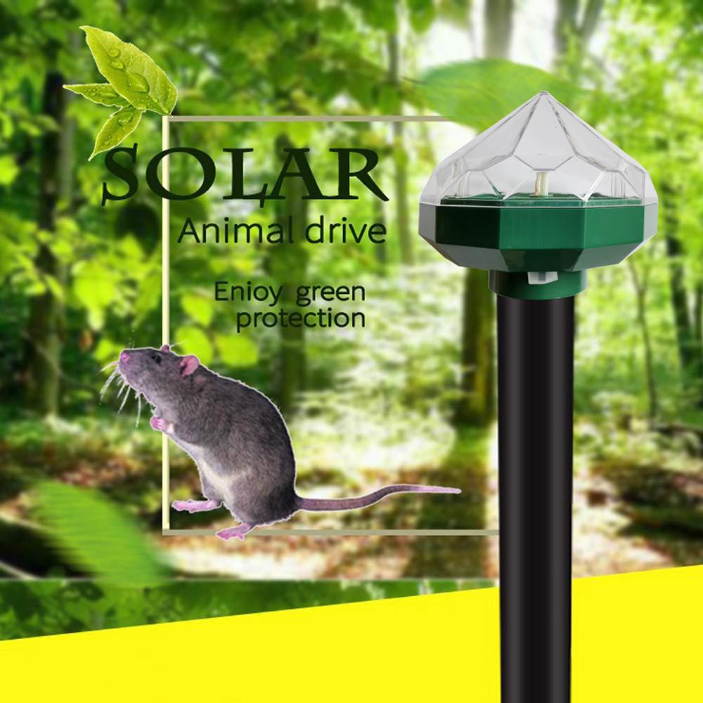 Buy Animal Repeller Bug Zapper Solar Powered Enegrgy LEDs Light Diamod ...