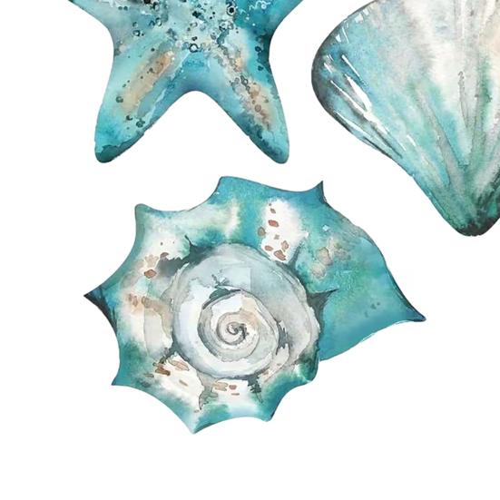3 Pcs Wooden Rustic Beach Wall Art Ocean Coastal Nautical Seashell Starfish Couch Wall Decor for Living Room Bedroom Lake House Decor