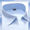 Women's Short Sleeve V-Neck Non-Iron Business Shirt