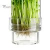 Stacking Sprouting Jars Set Jar Kit, Wide Mouth Glass with Sprout Lid, Blackout Stainless Steel Mesh Lid Sleeve, Plant Growing Kit for Home Gardeners