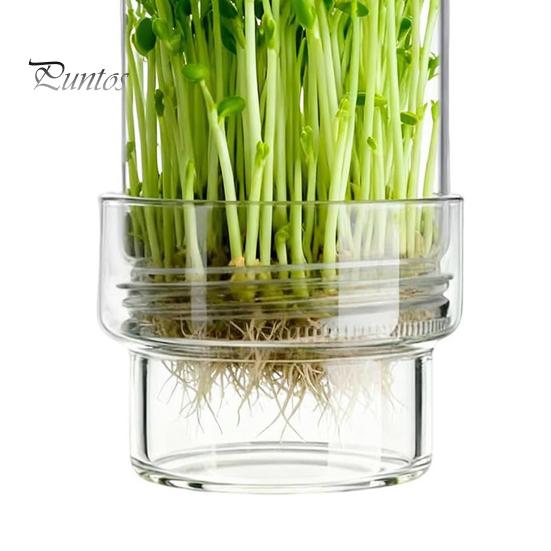 Stacking Sprouting Jars Set Jar Kit, Wide Mouth Glass with Sprout Lid, Blackout Stainless Steel Mesh Lid Sleeve, Plant Growing Kit for Home Gardeners