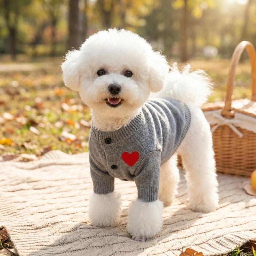 Herz-Aufdruck Hundeliebe Pullover Romantischer Hund Warmer Hoodie Mode Frühling Katzenkleidung Outdoor Spaziergang