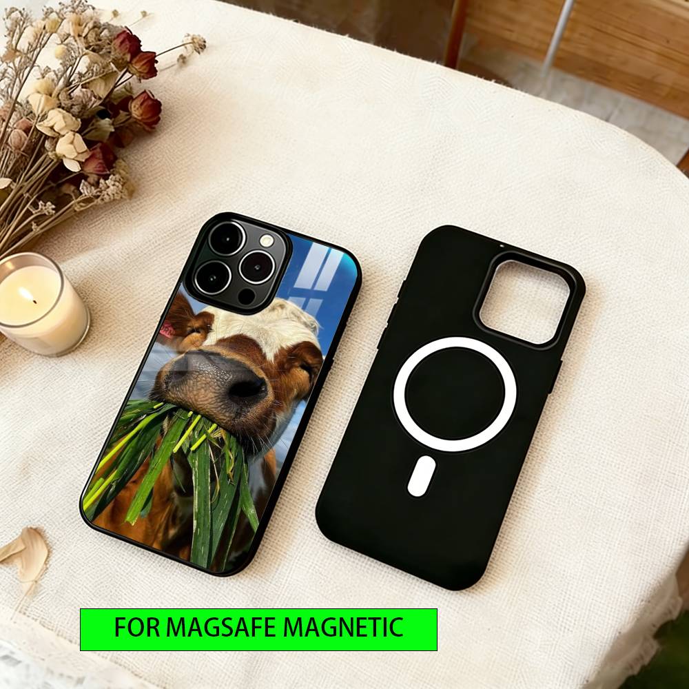 Abstract Animal Perspective Phone Case For iPhone17,16,15,14,13,12,11 Plus,Pro Magnetic with Magsafe Wireless Charging