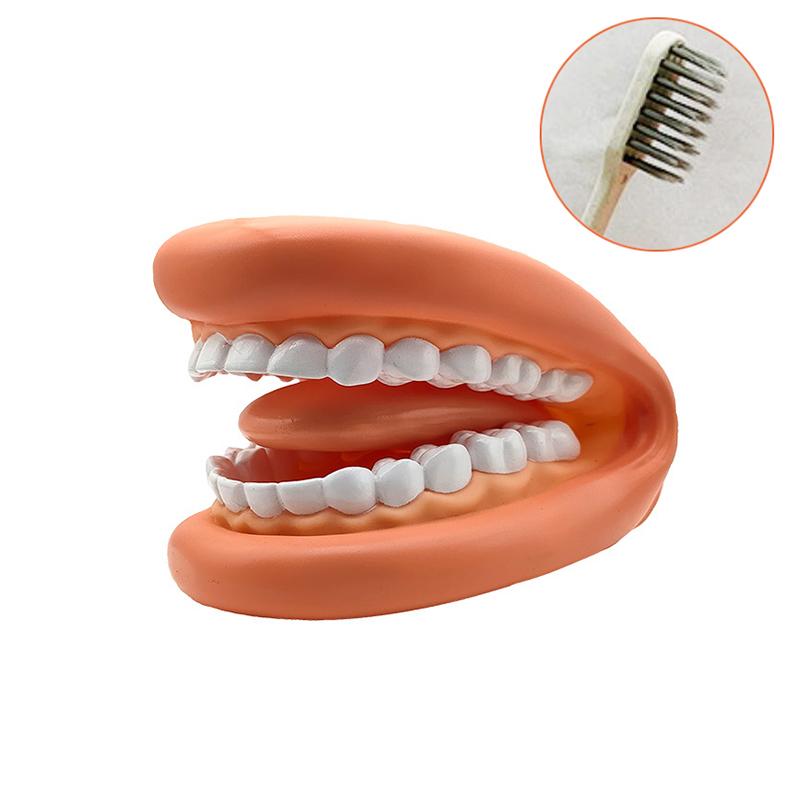 1 Sett Tannmodell Mighty Mouth Hånddukke Med Tunge For Taleterapi Tannlege / Utdanningslæringsressurs For Barn