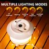 LED Camping String Light Portable 2 In 1 Campsite Ambient Lamp Waterproof Tent Light with 5