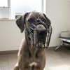 Breathable Basket Muzzle Adjustable Straps Wire Pet Accessory for Large Dogs, Walks,