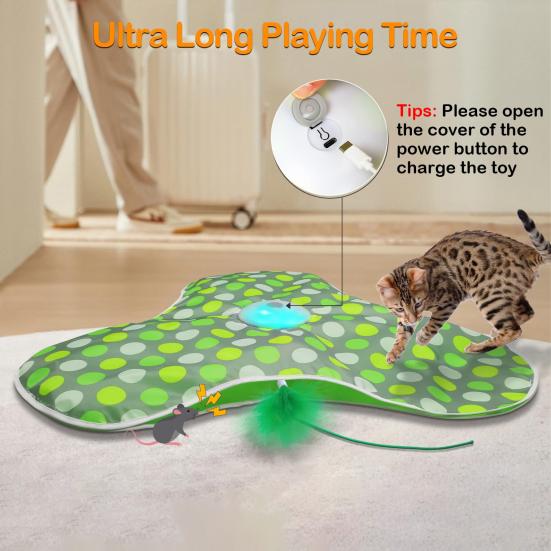 Hide And Seek Interactive Cat Toy Touch Activated Simulated Hunting Game with Moving Concealed Feather And Mouse Squeaky for Indoor Bored Adult Cats