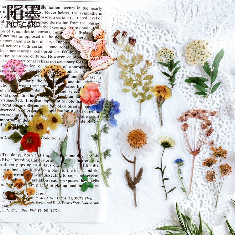 MòMò PET Sticker Pack: Jenny's Leisure Time Series - Creative Plant Journaling DIY Decorative Stickers (8 Styles)