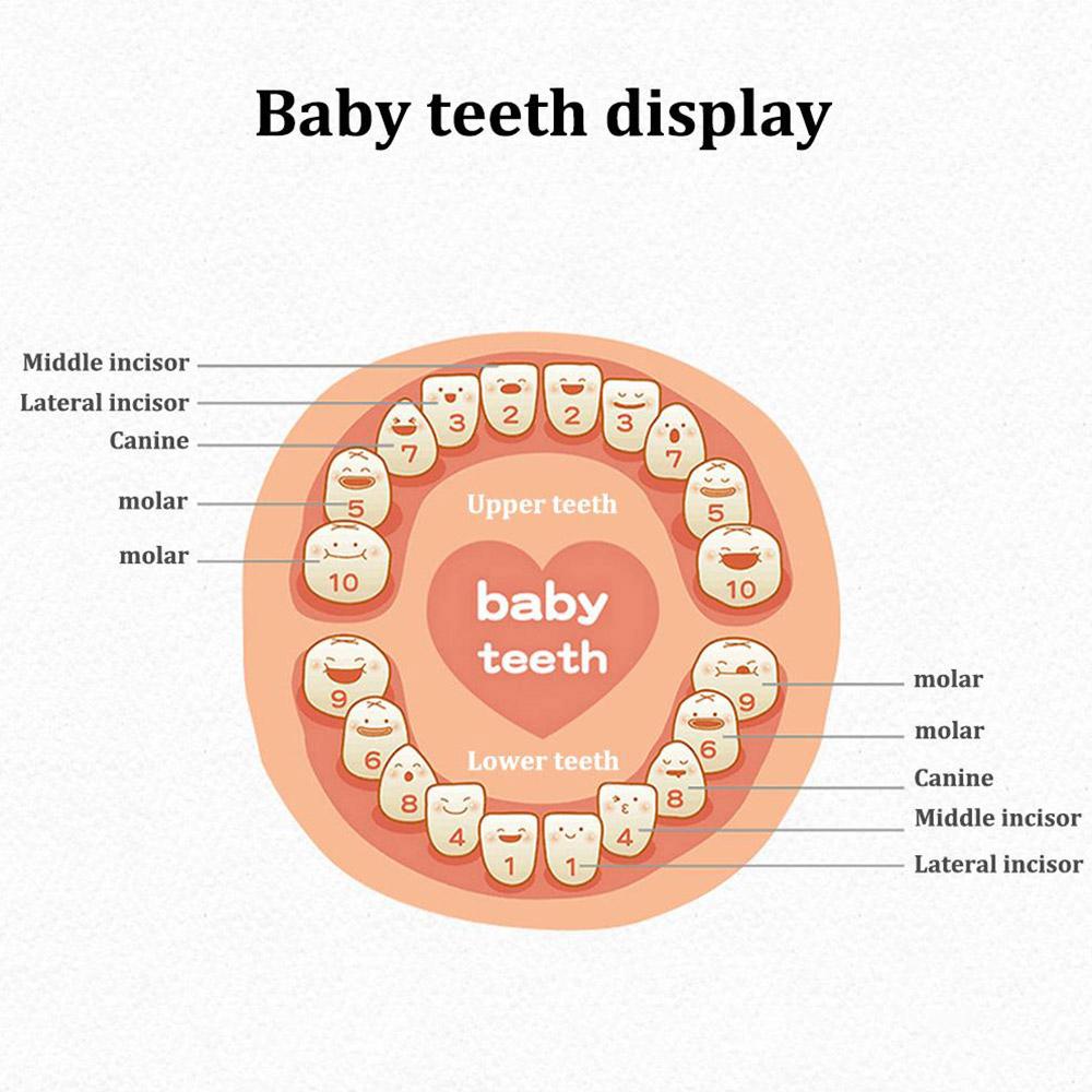 Wooden Baby Teeth Box Kids Keepsake Organizer Retro Baby Tooth Collection Box with Photo Frame Children Memory Box Newborn Gifts