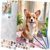 Paint by Number Picture 40x50 Cm Massido Corgi Dog