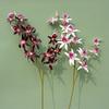 2 Fork Artificial Dendrobium Branch Realistic Handmade Simulation Orchids Exquisite Real Touch Fake Flowers