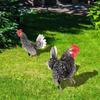 Chicken Garden Stakes Ornaments Rooster Hen Lawn Insert Signs Outdoor Decoration Animal Sculpture Statue Yard Signs