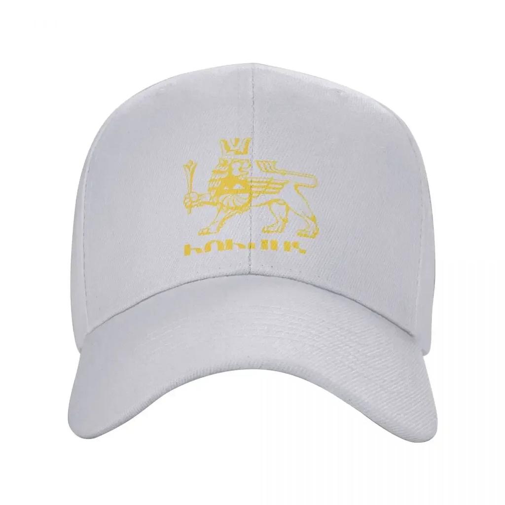 Yerevan Lion Armenia Logo Baseball Cap Hard Hat Horse Hat New In The Hat Golf Mens Tennis Women's