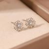 Mini Sparkling Snowflake Stud Earrings, Women’s Simple Temperament Christmas Jewelry