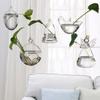 Cute Bulb/Birds/Angel/Peach/Water Droplets Eye-catching Glass Vase Transparent Hanging Glass Hydroponics Plant Pot Container