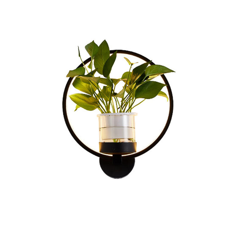 30 cm LED chandelier, with three-color green wall lamp 36W, chandelier with green plant, transition chandelier, round light, do not send with green pl