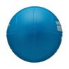 Mikasa Soft Dodgeball, 60cm (for Elementary School Students), 200g, Blue, LD-B