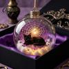 Eye-catching Seasonal Party Supplies Halloween Ball Ornament, Light Up Plastic Clear Hanging Decorations Decoration with Cat/Skeleton/Bat Inside