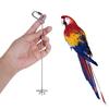 1pcs Parrot Stainless Steel Fruit Fork Toy Bird Cage Supplies Fruit Bird Feeder Pet Parrot Accessories Pet Bird Supplies