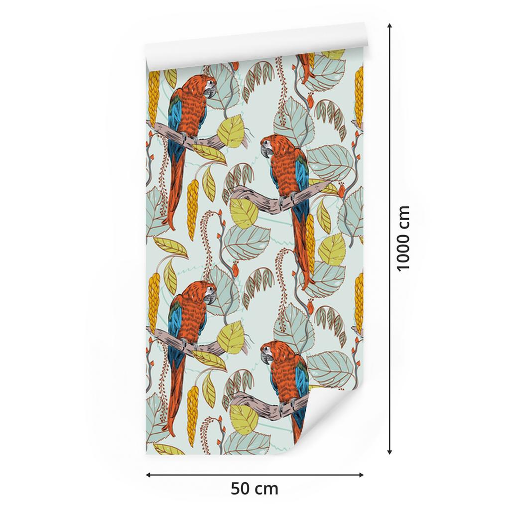 Wallpaper Beautiful colorful parrots for living room and bedroom 50x1000