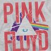 Pink Floyd Childrens/Kids Allseeing Prism Pull Over Hoodie