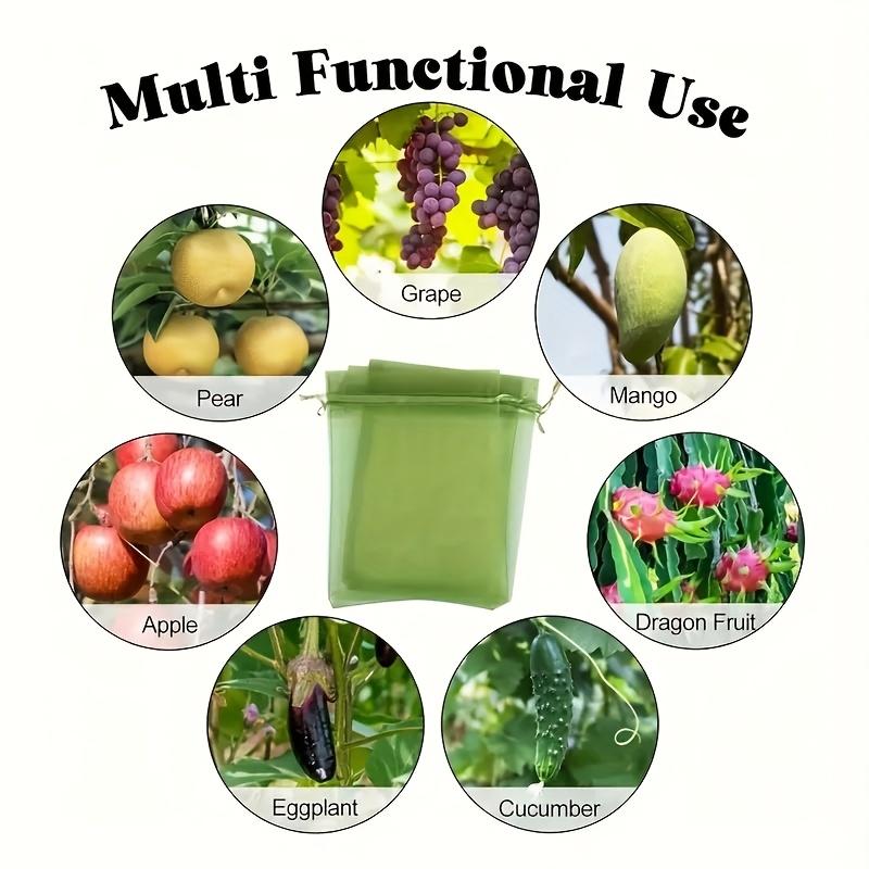50pcs Reusable Fruit And Vegetable Protection Bags - 12x9cm  Drawstring Net Cover