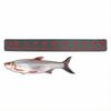 Dark Gray Theme 100cm EVA Foam Fish Measure Ruler Adhesive Tape for Fishing Boat Kayak Cooler Box Angling Ruler Tool Accessory 7