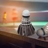 12pcs Barrel Duck Feather Badminton Shuttlecocks Indoor Outdoor Sports Training Badminton Birdies Balls