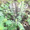 Clear Plastic Cone Rain Gauge Innovative Starter Gardening Plant Growing