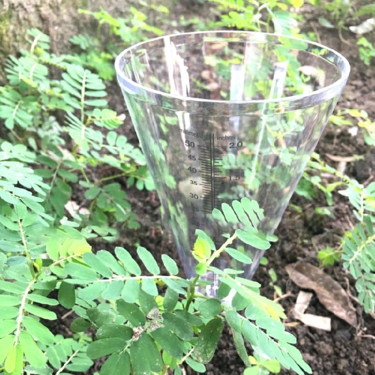 Clear Plastic Cone Rain Gauge Innovative Starter Gardening Plant Growing