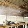 Ugello Nebulizzatore da 1/2" Ottone Atomizzatore Raccordo Spray Connettore Tubo Nebulizzatore Irrigatore Acqua Regolabile per Giardino Prato Irrigazione