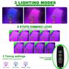 10W 20W 30W 40W LED Grow Light Full Spectrum Lamp USB 5V Grow Lights Indoor Plant  Phyto Bulbs Greenhouse Tent Grow Flower Lamps