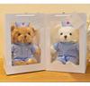 Doctor Nurse Plush Teddy Bear Doll - Cute Gift for Medical Staff & Nurses