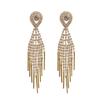 Fashionable and Exaggerated Full Diamond Tassel Earrings for Women Long Earrings for Temperament  Internet Celebrity Earrings