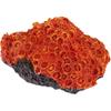 balacoo Aquarium Fish Tank Decorations: Artificial Coral Reef Decor Orange Plant Resin Landscape Decor for, Salt Water