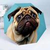 Pug Dreams Under Stars 8-Frame for Travel, camping, Casual Lightweight Portable Umbrella, Essential for every family Holidays Birthday Gift