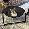 Katzenbett, Haustier-Hängematte, Katzenschlafbett, atmungsaktiv, kühlendes Kinderbett, Sofa, Haustier-Hängematte