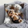 Niedliche Yorkie-Welpen-Druck-Kissenhülle für gemütliche Deko, Sofakissenbezug, Dekoration für Wohnzimmer, Zimmer, Schlafsaal, 2D-Druck