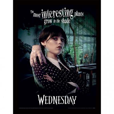 Wednesday Shade Framed Poster