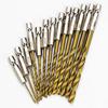 Haisidick 13-Piece Titanium Plated Hex Shank HSS Twist Drill Bit Set