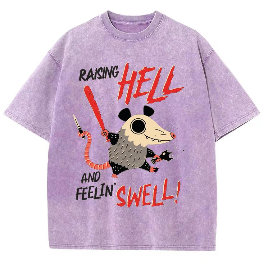 

Футболка женская с принтом японской мультяшной мыши, стираная джинсовая ткань большого размера, хлопок, высокое качество, повседневный модный топ с коротким рукавом S