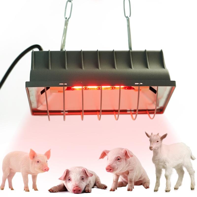 Pet Animals Chicken Coop Heater Brooder Heater Lamp Heating Plate Lamp Temp Livestock Warning Light Poultry Supplies